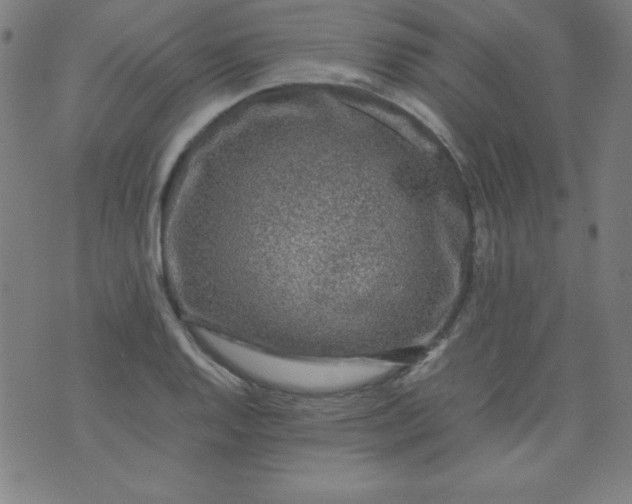 X0000070411128200606231821