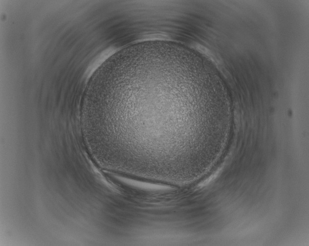 X0000070411129200606231821