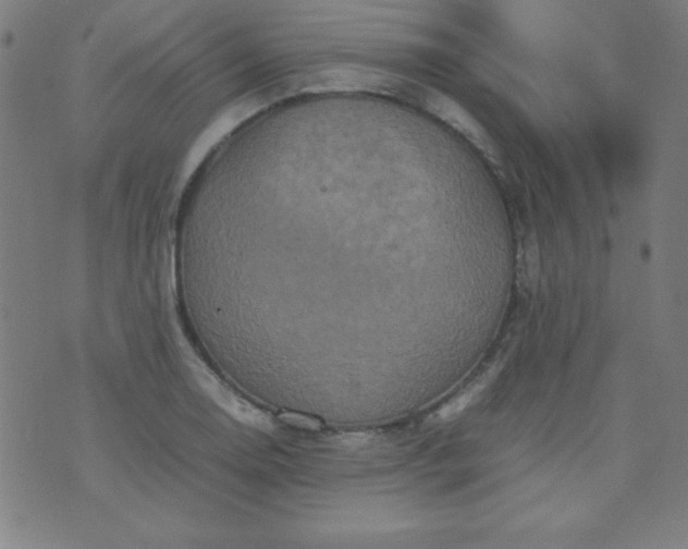 X0000070411130200606231821