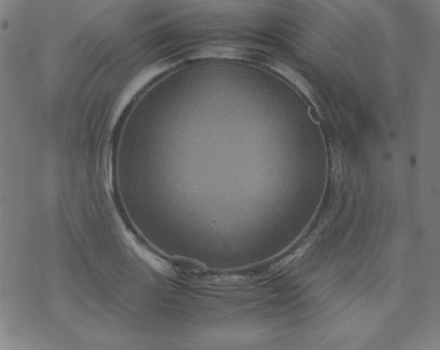 X0000070411131200606231821