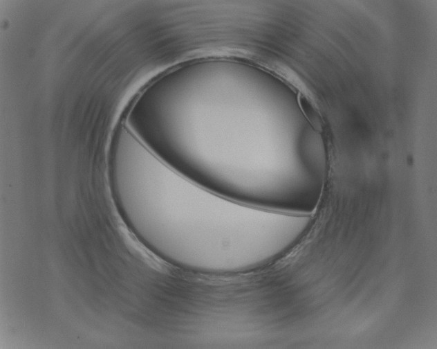 X0000070411132200606231821