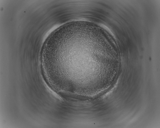 X0000070411133200606231821