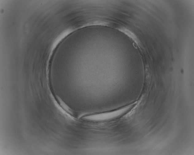 X0000070411135200606231821