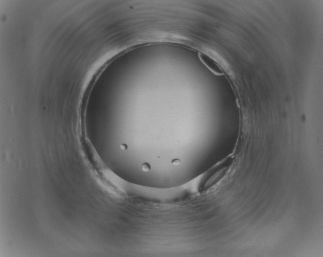 X0000070411136200606231821