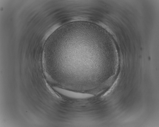 X0000070411137200606231821