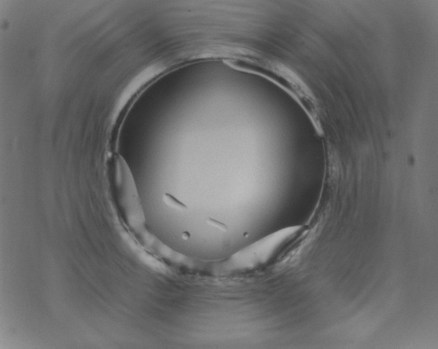 X0000070411138200606231821