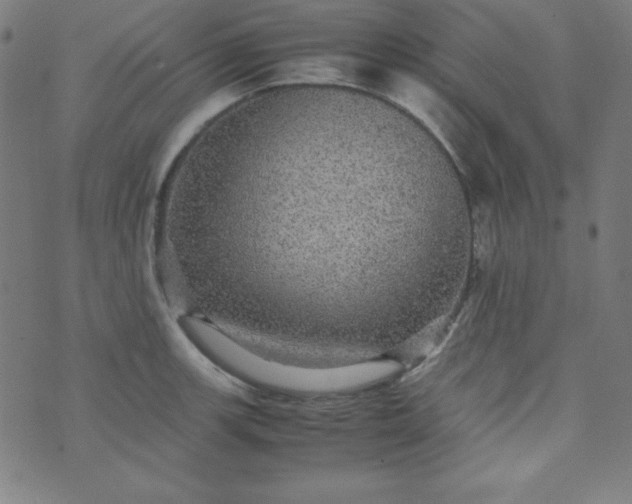 X0000070411139200606231821