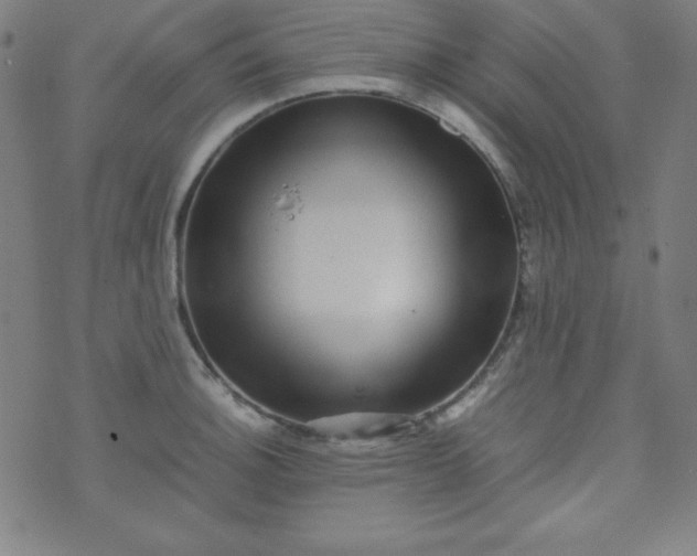 X0000070411140200606231821