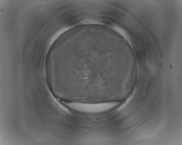 X0000070411141200606231821