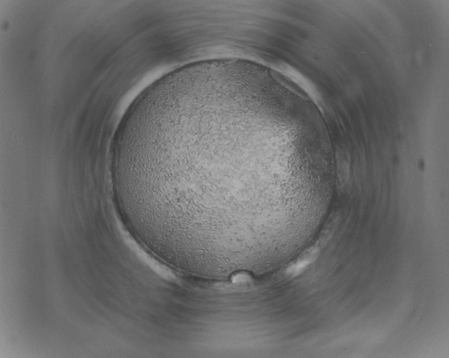 X0000070411142200606231821