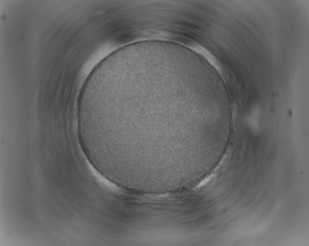 X0000070411143200606231821