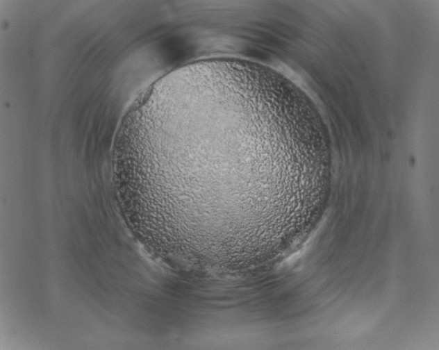 X0000070411145200606231822