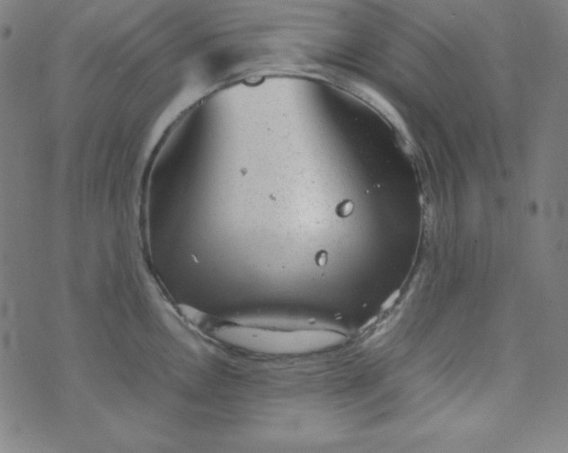 X0000070411146200606231822