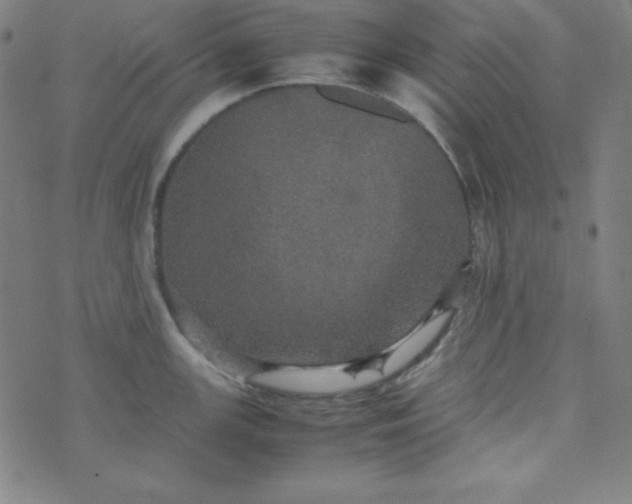 X0000070411147200606231822