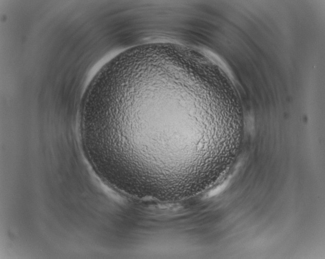 X0000070411149200606231822