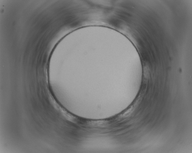 X0000070411150200606231822