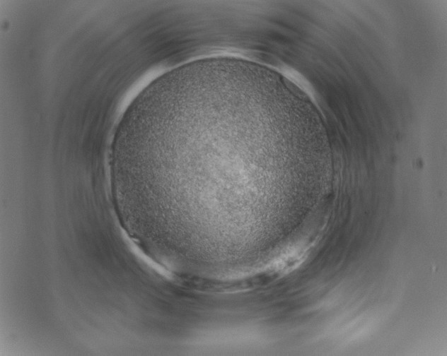 X0000070411151200606231822