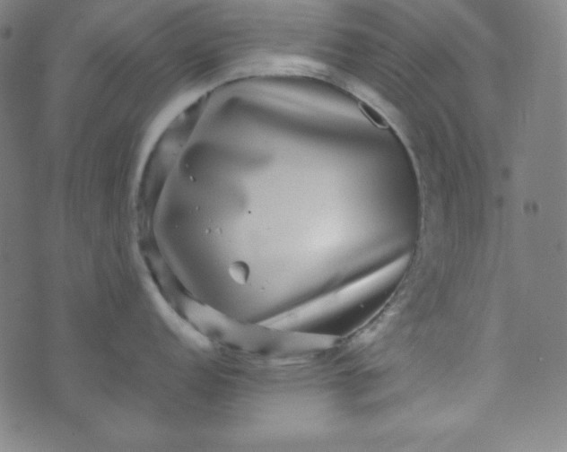 X0000070411152200606231822