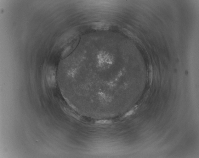 X0000070411154200606231821