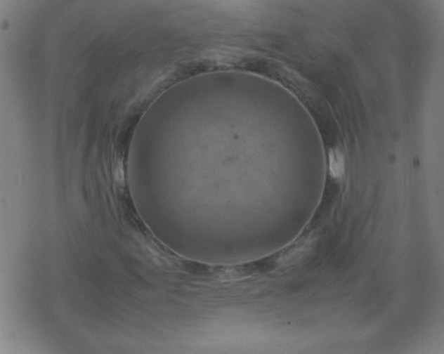 X0000070411155200606231821