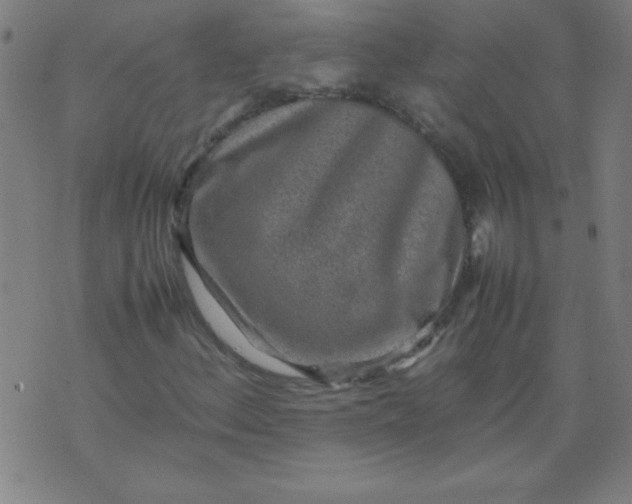 X0000070411156200606231821