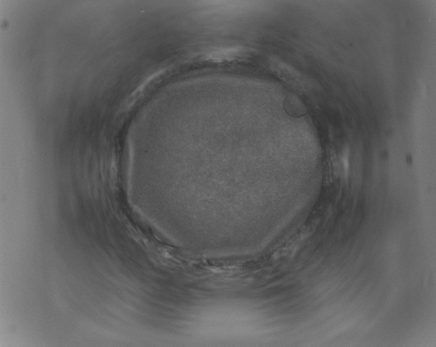 X0000070411158200606231821