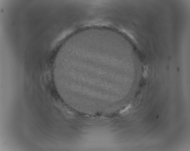 X0000070411159200606231821