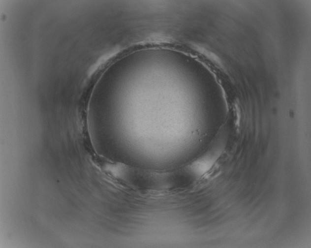 X0000070411160200606231821