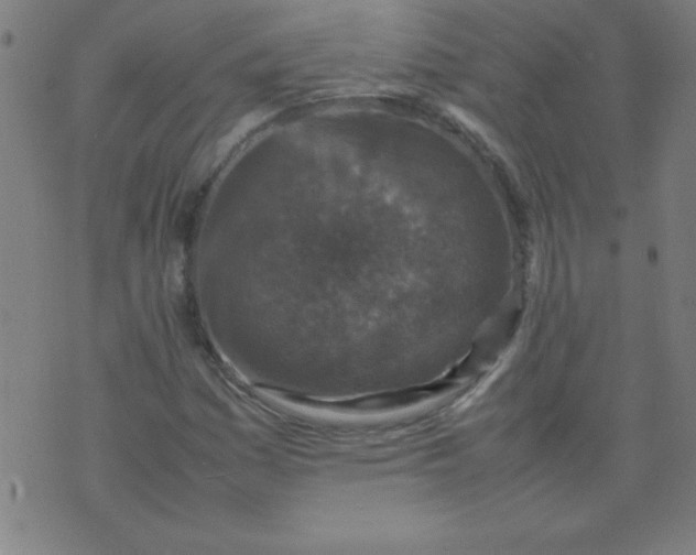 X0000070411161200606231821