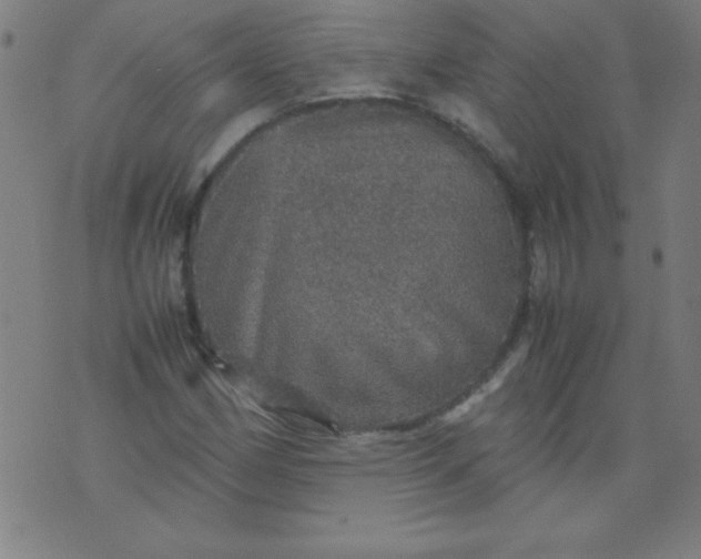 X0000070411162200606231821