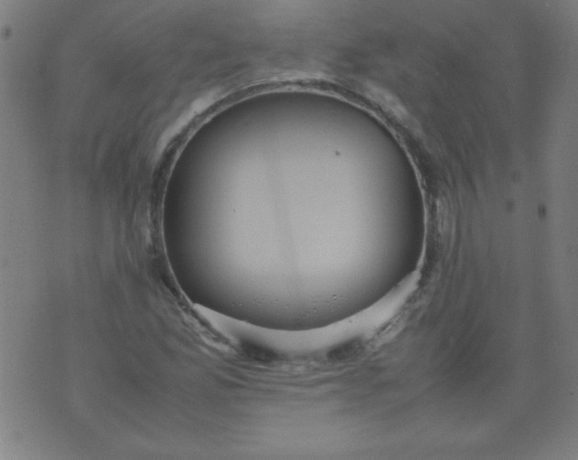 X0000070411165200606231821