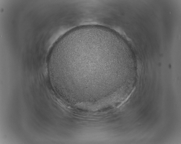 X0000070411167200606231821