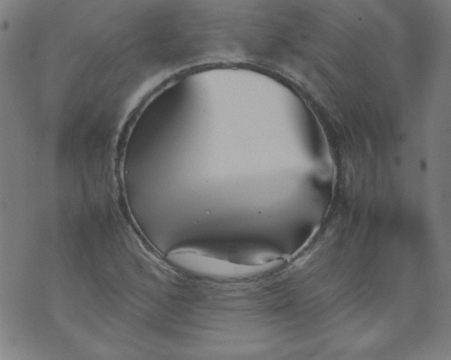 X0000070411168200606231821