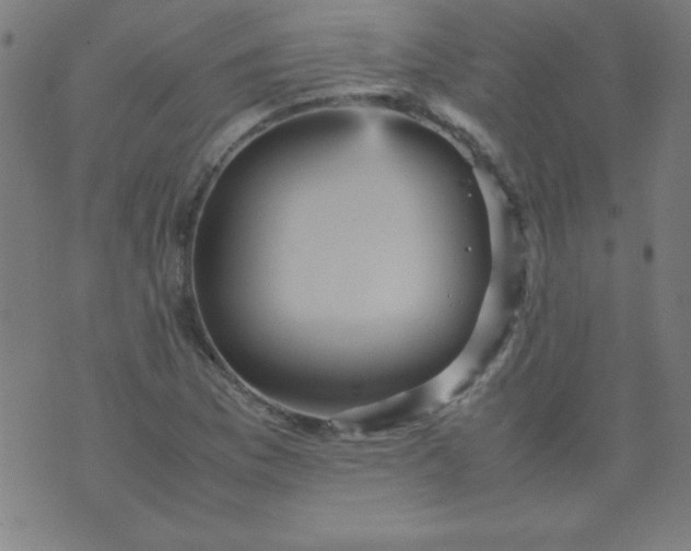 X0000070411169200606231821