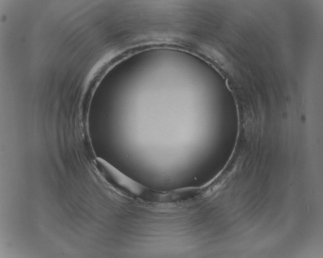 X0000070411172200606231821