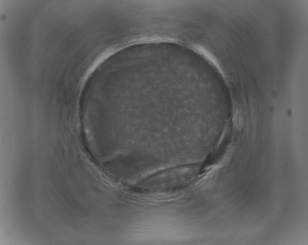 X0000070411173200606231821