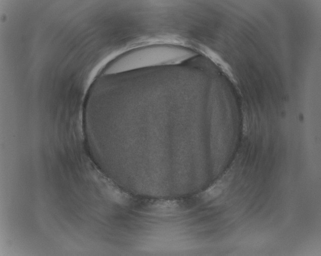 X0000070411174200606231821