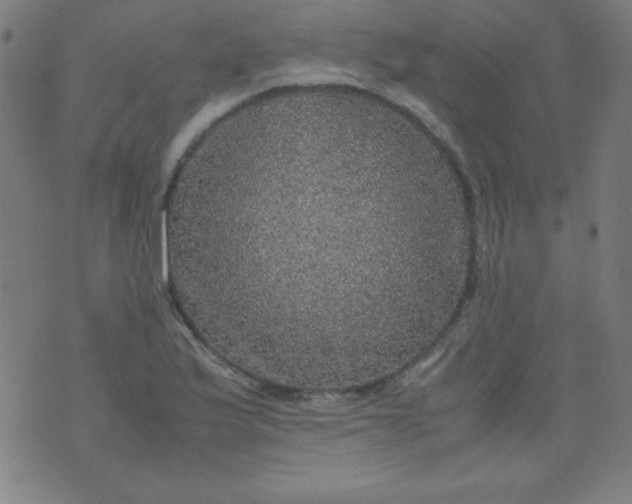 X0000070411175200606231820