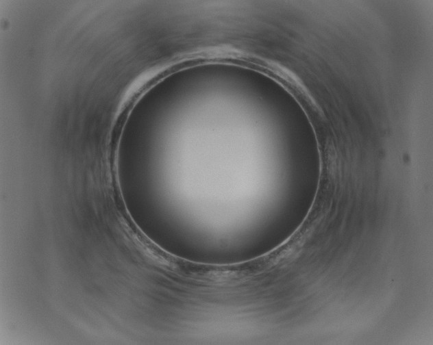 X0000070411176200606231820