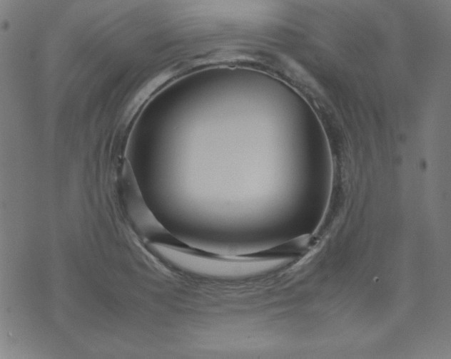 X0000070411177200606231820