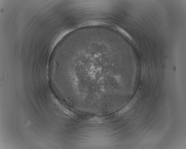 X0000070411178200606231820