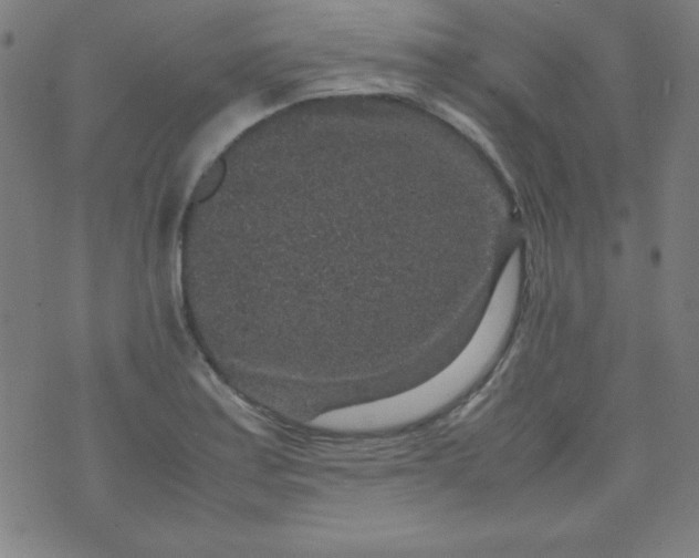 X0000070411179200606231820