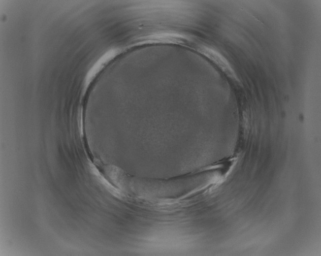 X0000070411180200606231820