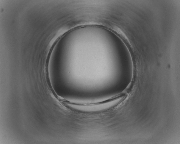 X0000070411181200606231820