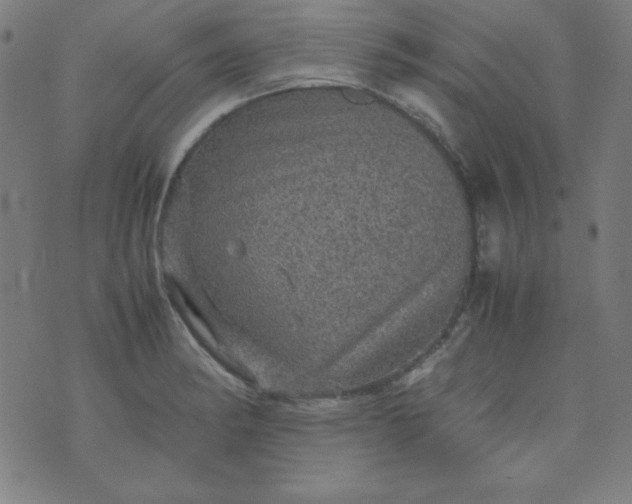 X0000070411182200606231820