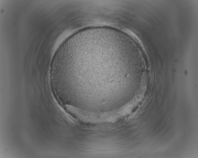 X0000070411183200606231820