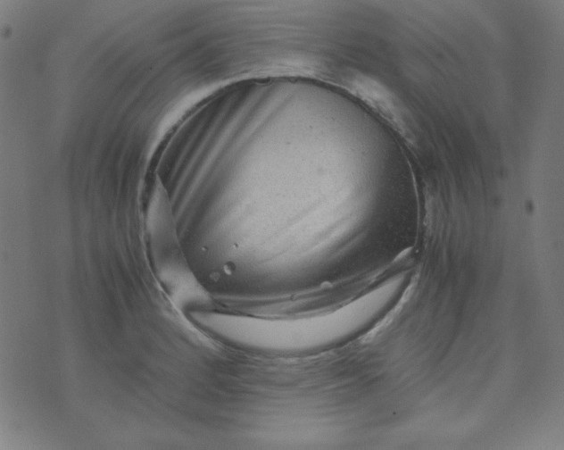 X0000070411184200606231820