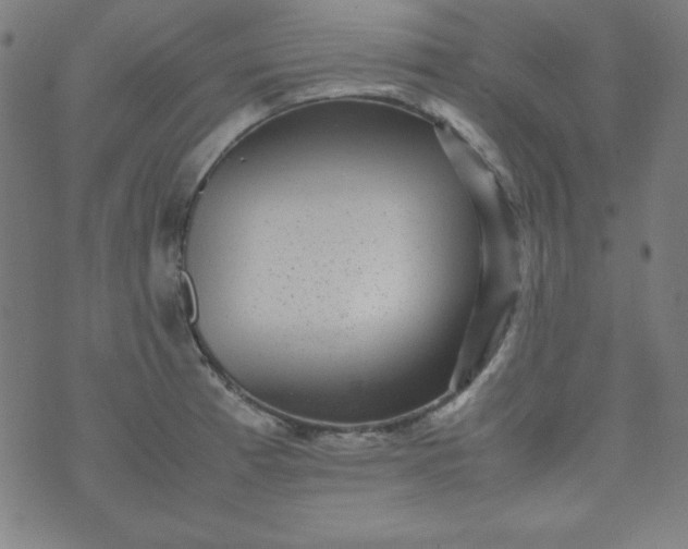 X0000070411185200606231820