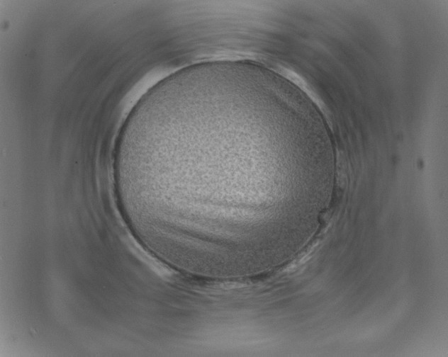 X0000070411187200606231820