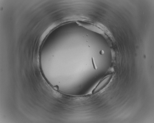 X0000070411188200606231820